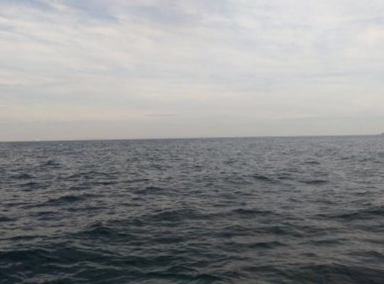 ペット供養・海洋散骨