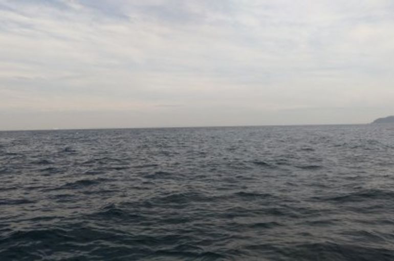 ペット供養・海洋散骨