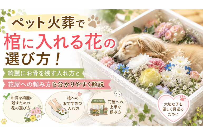 ペット火葬で棺に入れる花の選び方 綺麗にお骨を残す入れ方と花屋への頼み方を分かりやすく解説 コラム 江戸川区のペット葬儀・ペット火葬なら 安心のご供養サービス