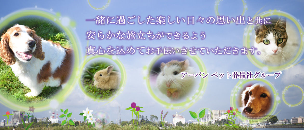 練馬区でペット葬儀・ペット火葬を承っております。