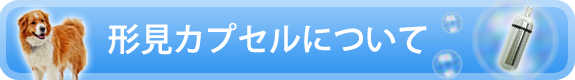 形見カプセルについてのバナー